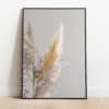 Poster - Droog bloemen