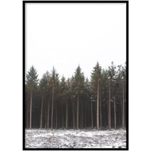 Poster - Into the woods