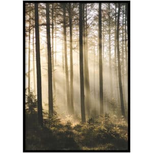 Poster - Planken-Wambuis