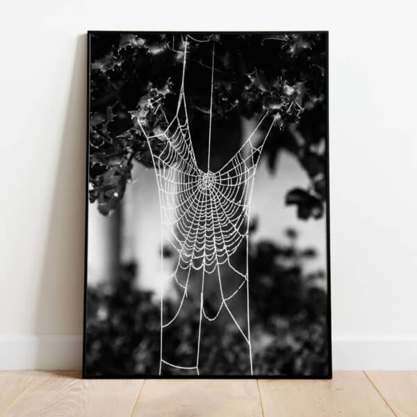 Poster - Spinnenweb