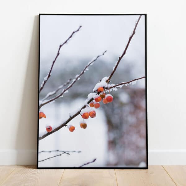 Poster - Winter appeltjes