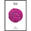 Poster - Sterrenbeeld Fuchsia