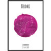 Poster - Sterrenbeeld Fuchsia