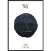 Poster - Sterrenbeeld Zwart wit