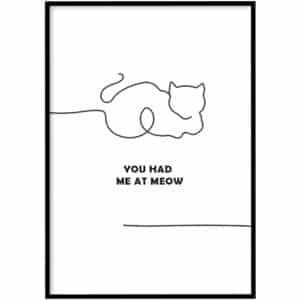 Poster - Meow
