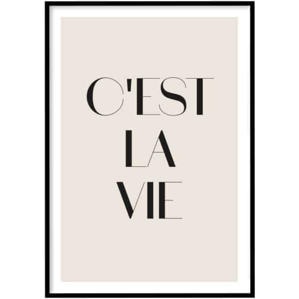 Poster - C'est la vie