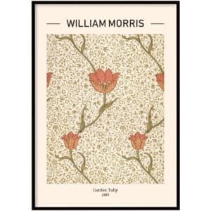 William Morris Garden Tulip