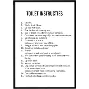 Poster - Toilet instructies