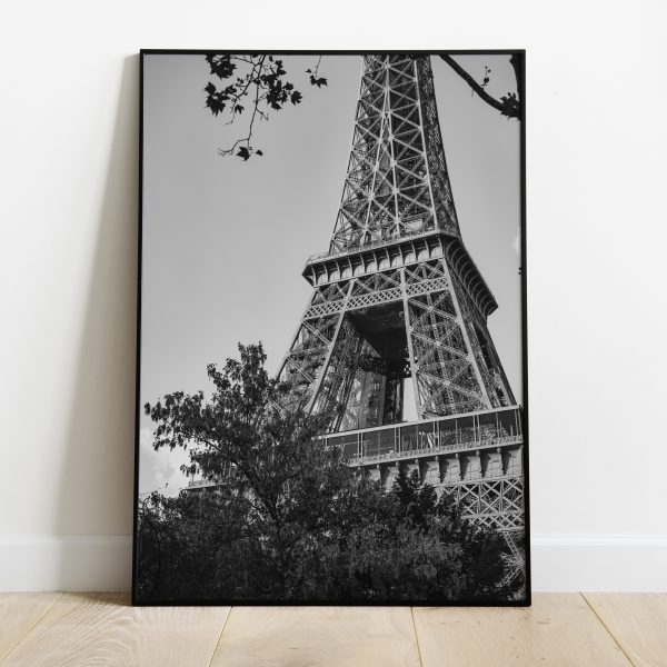 Poster - Eiffeltoren natuur zwart-wit