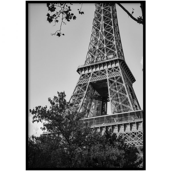 Poster - Eiffeltoren natuur zwart-wit