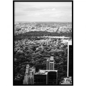 Central Park zwart-wit