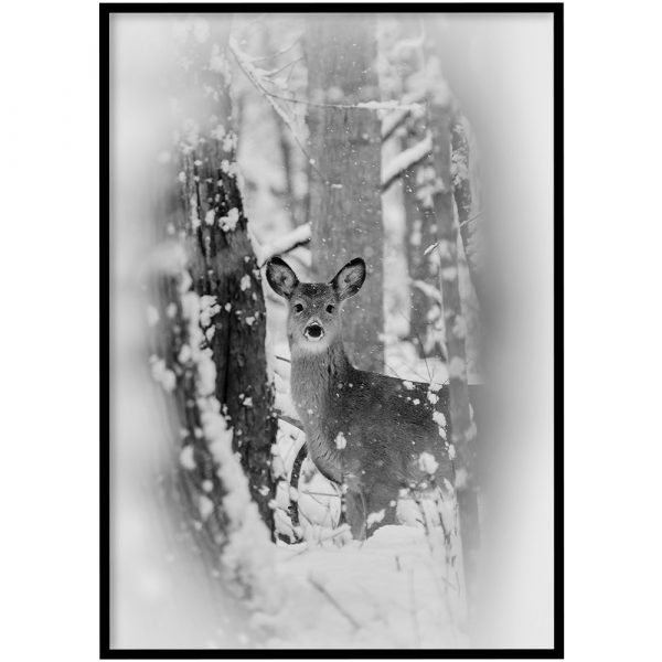 Ree in winterbos zwart-wit